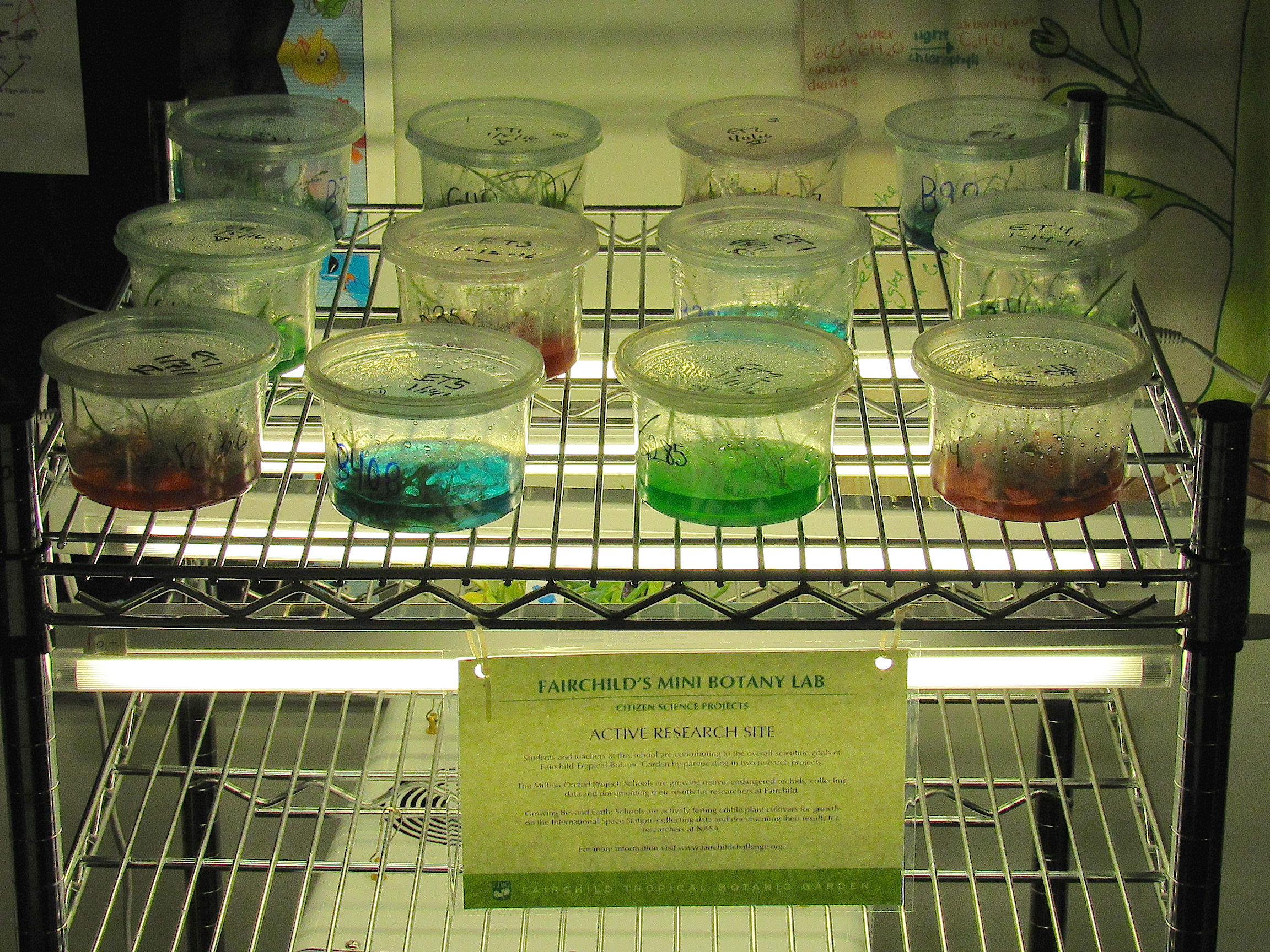 Fairchild Botany Lab